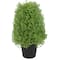 15" Unlit Artificial Boxwood Cone Topiary Tree with Round Pot